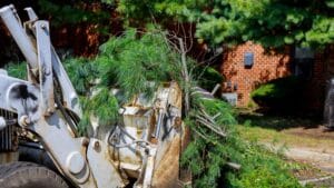 putting yard waste in a dumpster