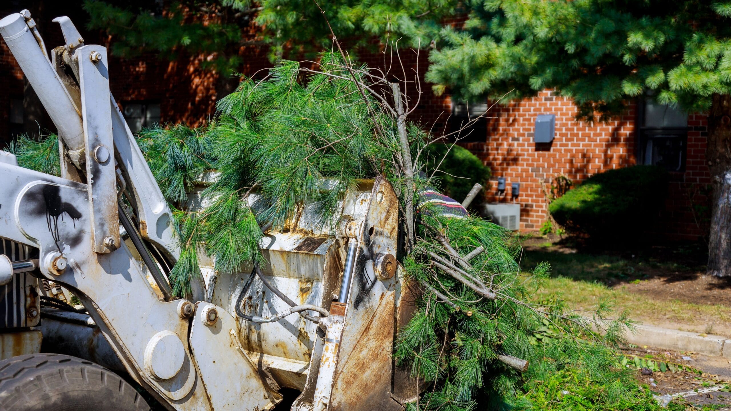 putting yard waste in a dumpster