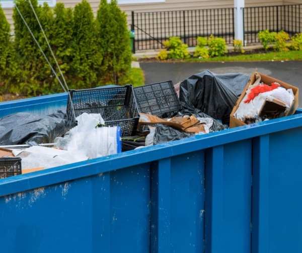 blue dumpster rental