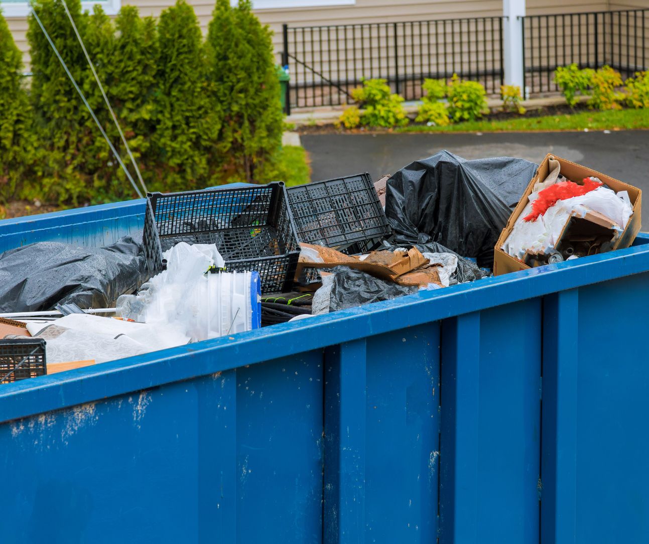 blue dumpster rental